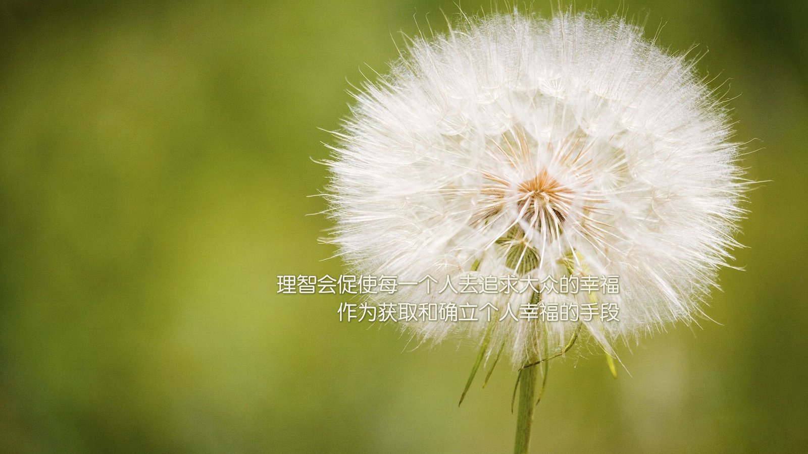 织梦网站实现登录后显示,完美支持动静态织梦网站