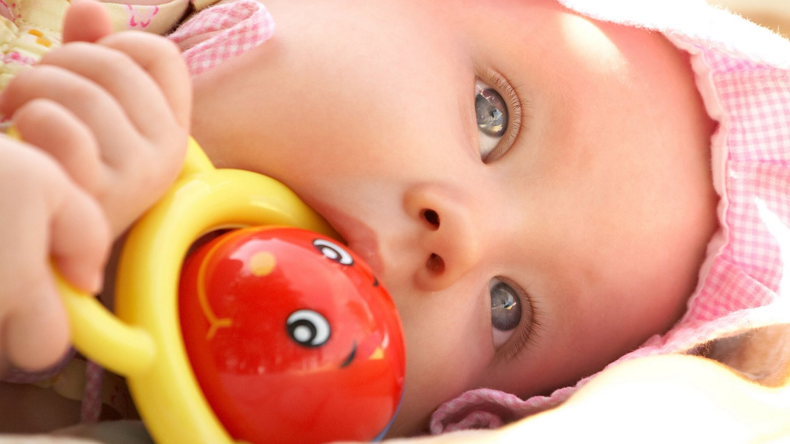 织梦交流论坛:想免费使用织梦CMS的,推荐大家换织梦V6程序