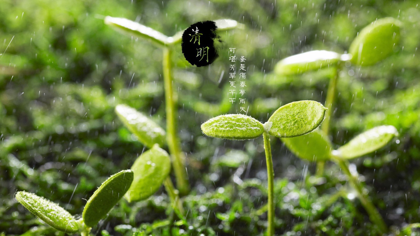 如何挖掘网站关键词,挖掘网站关键词教程