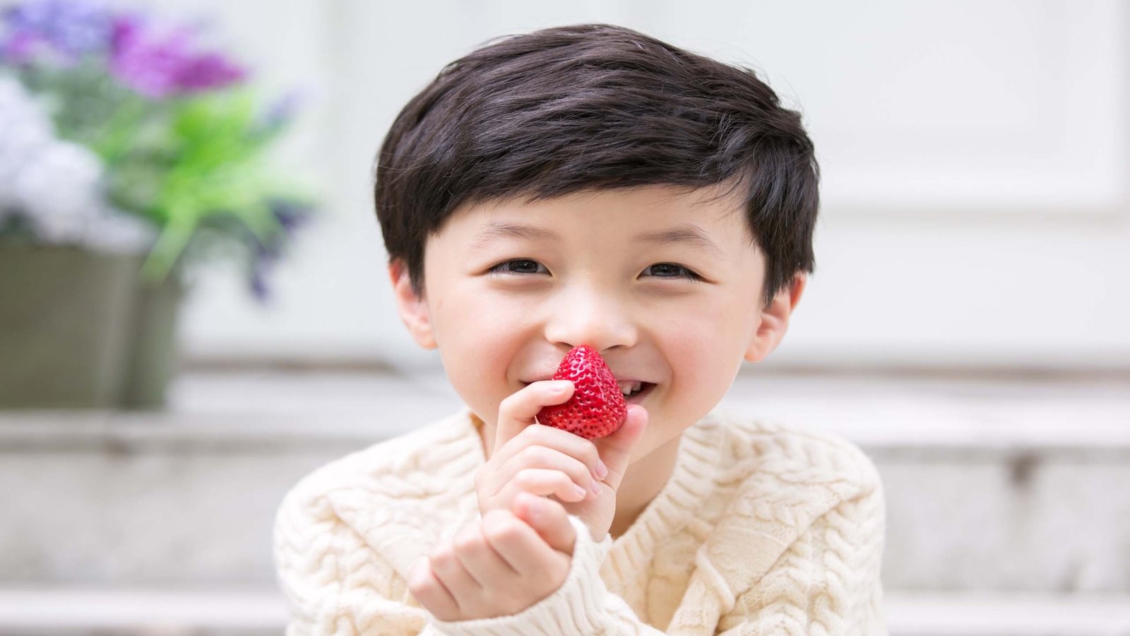 网站优化软件:SEO排名优化软件可信吗