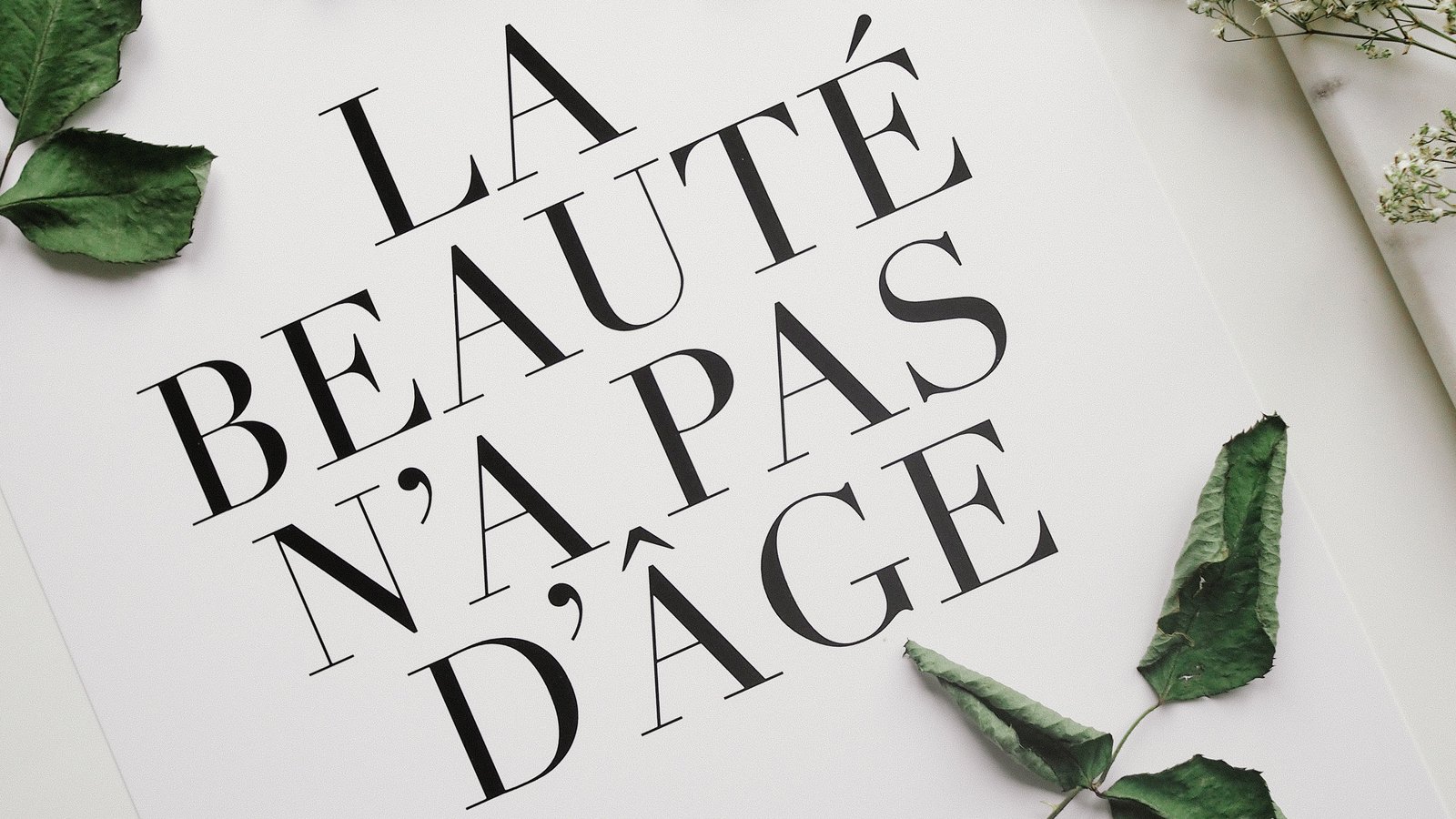 吃枣药丸:AI生成文章,千万不要用