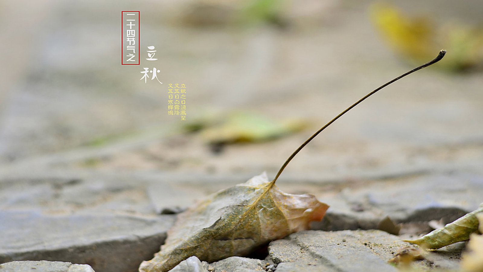 网站被降权怎么办?网站被降权的补救办法