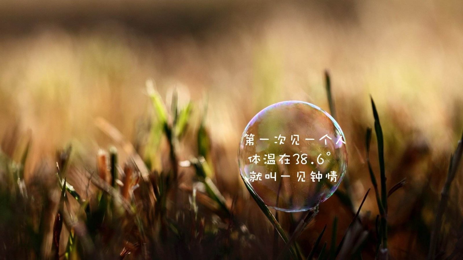 织梦网站实现登录后显示,完美支持动静态织梦网站