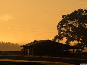 安卓风景大片 美景 唯美 心旷神怡 儿童桌面专用手机壁纸