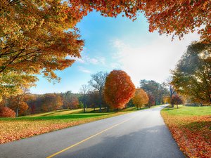 安卓风景 公路 秋天手机壁纸