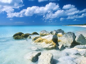 风景 海洋 礁石
