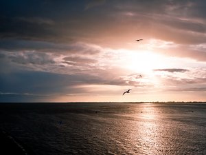 风景 大海 海边 落日余晖