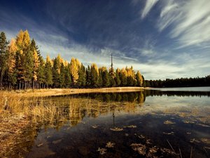 安卓风景 秋天 落叶手机壁纸