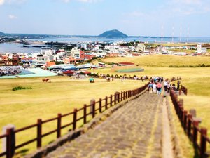 风景 旅游 韩国 济州岛