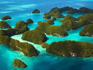 安卓水 河流 清新 景象 风景 风光 美景 旅游 自然手机壁纸