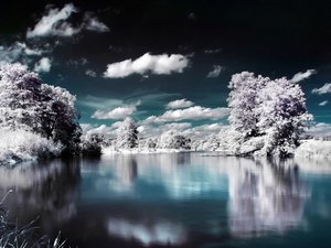 安卓冬天 雪景 风景 风光 美景 旅游 自然手机壁纸