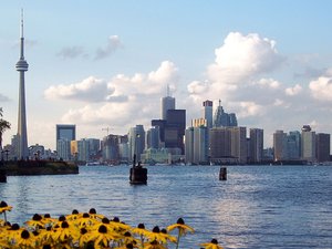 风景 旅游 城市 美国 多伦多