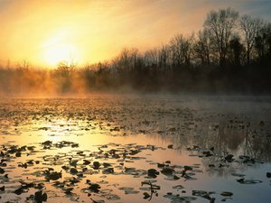 安卓风景 夕阳 晚霞 雾手机壁纸