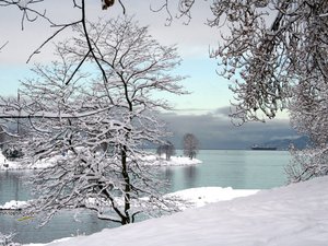 风景 雪景 河流