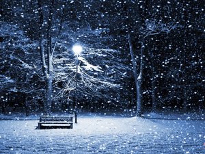 安卓风景 雪景 树林 长椅手机壁纸
