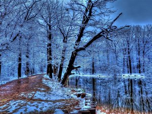 安卓风景 雪景 河流 树林 小路手机壁纸