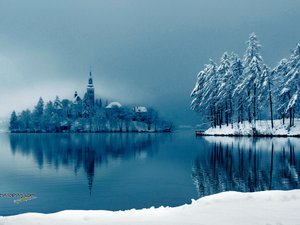 安卓风景 雪景 树林手机壁纸