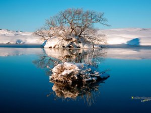 风景 雪景 湖泊