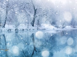 风景 雪景 树林 河流