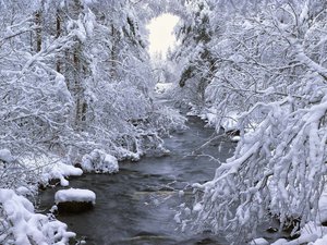 安卓风景 雪景 河流 树林手机壁纸