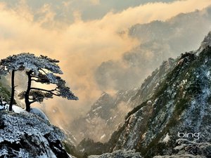 风景 旅游 中国 安徽 黄山