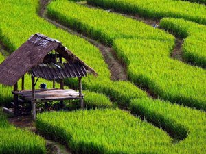 壮阔 风光 美景 旅游 自然 开阔风景