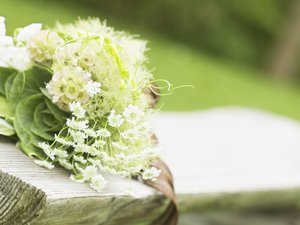 婚礼 鲜花 宽屏 花