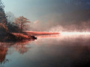 风景 风光 景观 秋意正浓