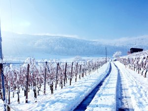 安卓风景 冰天雪地手机壁纸