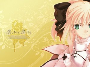 安卓动漫 CG 漫画 美少女 可爱 Saber Lily 草泥马手机壁纸
