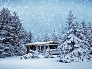 安卓风景 冰天雪地 下雪了手机壁纸
