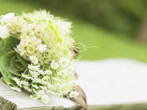 婚礼 鲜花 宽屏 花