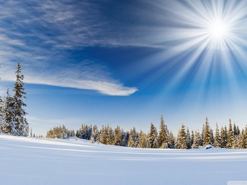 风景 雪景