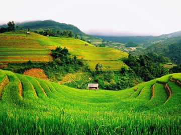 风景 田园 梯田