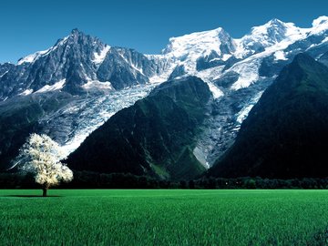 风景 草原 山脉