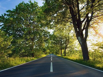 风景 公路