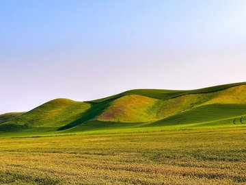 风景 自然 草原