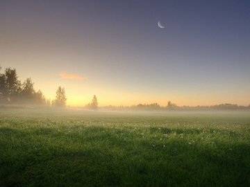 风景 早晨 雾