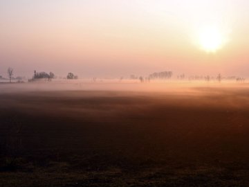 风景 早晨 雾