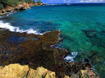 风景 风光 美景 旅游 自然 水流 海流