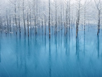 风景 湖泊