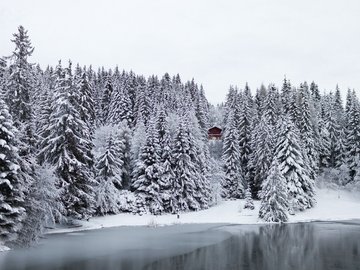 风景 湖泊