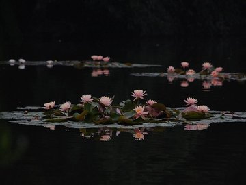 小清新 清新淡雅