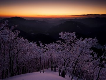 风景 雪景