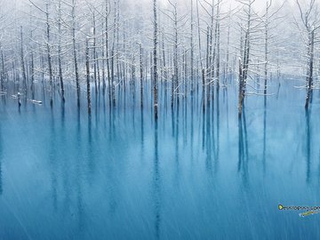 风景 雪景