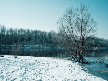 风景 雪景 河流 树林