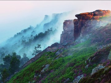 风景 自然 雾