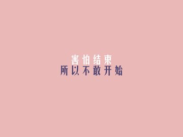 爱情 方案