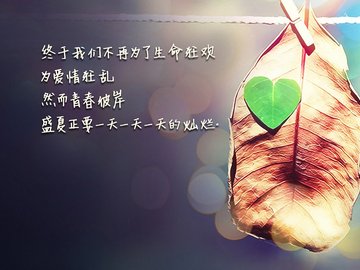 爱情 爱情箴言