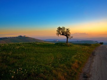 风景 落日余晖